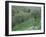 Terraced Olive Grove, Samos, Greece-Rolf Nussbaumer-Framed Photographic Print