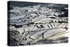 Terraced Paddy-Fields, Yuanyang, Yunnan, China, Asia-Bruno Morandi-Stretched Canvas