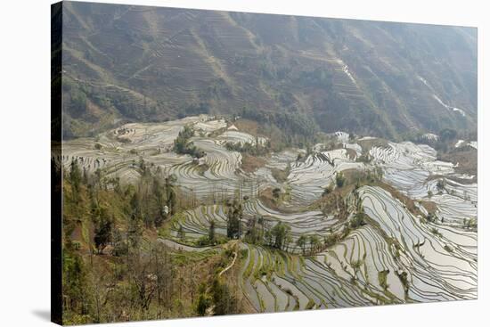 Terraced Paddy-Fields, Yuanyang, Yunnan, China, Asia-Bruno Morandi-Stretched Canvas