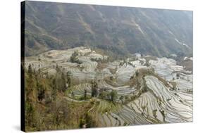 Terraced Paddy-Fields, Yuanyang, Yunnan, China, Asia-Bruno Morandi-Stretched Canvas