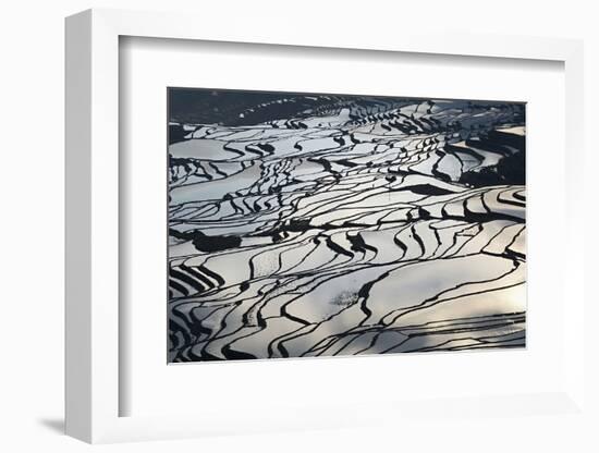 Terraced Paddy-Fields, Yuanyang, Yunnan, China, Asia-Bruno Morandi-Framed Photographic Print