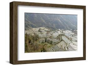 Terraced Paddy-Fields, Yuanyang, Yunnan, China, Asia-Bruno Morandi-Framed Photographic Print