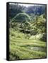 Terraced Rice Fields, Bali, Indonesia, Southeast Asia-Robert Harding-Framed Stretched Canvas