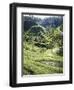 Terraced Rice Fields, Bali, Indonesia, Southeast Asia-Robert Harding-Framed Premium Photographic Print