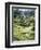 Terraced Rice Fields, Bali, Indonesia, Southeast Asia-Robert Harding-Framed Photographic Print