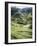 Terraced Rice Fields, Bali, Indonesia, Southeast Asia-Robert Harding-Framed Photographic Print