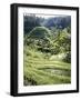 Terraced Rice Fields, Bali, Indonesia, Southeast Asia-Robert Harding-Framed Photographic Print