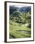 Terraced Rice Fields, Bali, Indonesia, Southeast Asia-Robert Harding-Framed Photographic Print