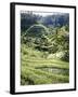 Terraced Rice Fields, Bali, Indonesia, Southeast Asia-Robert Harding-Framed Photographic Print