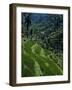 Terraced Rice Fields Near Gagah, Bali, Indonesia, Southeast Asia-James Green-Framed Photographic Print