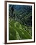 Terraced Rice Fields Near Gagah, Bali, Indonesia, Southeast Asia-James Green-Framed Photographic Print