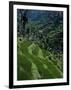 Terraced Rice Fields Near Gagah, Bali, Indonesia, Southeast Asia-James Green-Framed Photographic Print