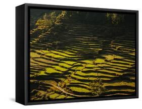 Terraced Rice Fields, Near Pokhara, Gandak, Nepal, Asia-Mark Chivers-Framed Stretched Canvas