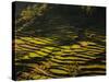 Terraced Rice Fields, Near Pokhara, Gandak, Nepal, Asia-Mark Chivers-Stretched Canvas