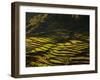 Terraced Rice Fields, Near Pokhara, Gandak, Nepal, Asia-Mark Chivers-Framed Photographic Print