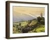 Terraced Rice Fields, Punakha, Bhutan, Himalayas, Asia-Angelo Cavalli-Framed Photographic Print