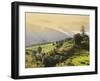 Terraced Rice Fields, Punakha, Bhutan, Himalayas, Asia-Angelo Cavalli-Framed Photographic Print