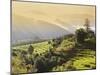 Terraced Rice Fields, Punakha, Bhutan, Himalayas, Asia-Angelo Cavalli-Mounted Photographic Print