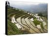 Terraced Rice Fields, Yuanyang, Yunnan Province, China-Angelo Cavalli-Stretched Canvas