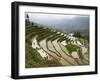 Terraced Rice Fields, Yuanyang, Yunnan Province, China-Angelo Cavalli-Framed Photographic Print