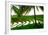 Terraced Rice Paddy in Ubud, Bali, Indonesia, Southeast Asia, Asia-Laura Grier-Framed Photographic Print