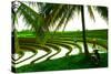 Terraced Rice Paddy in Ubud, Bali, Indonesia, Southeast Asia, Asia-Laura Grier-Stretched Canvas