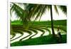 Terraced Rice Paddy in Ubud, Bali, Indonesia, Southeast Asia, Asia-Laura Grier-Framed Photographic Print