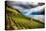 Terraced Vineyard Overlooking Lake Geneva-George Oze-Stretched Canvas