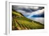 Terraced Vineyard Overlooking Lake Geneva-George Oze-Framed Photographic Print