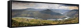 Terraced Vineyards Along the Douro River and Pinhao. Alto Douro-Mauricio Abreu-Framed Stretched Canvas