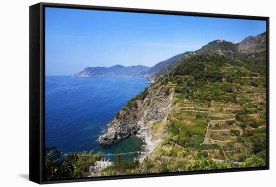 Terraced Vineyards at Corniglia-Mark Sunderland-Framed Stretched Canvas