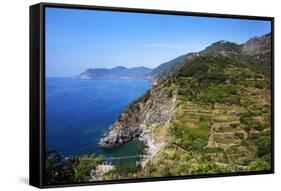 Terraced Vineyards at Corniglia-Mark Sunderland-Framed Stretched Canvas