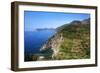 Terraced Vineyards at Corniglia-Mark Sunderland-Framed Premium Photographic Print