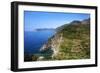 Terraced Vineyards at Corniglia-Mark Sunderland-Framed Premium Photographic Print