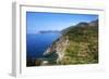 Terraced Vineyards at Corniglia-Mark Sunderland-Framed Photographic Print