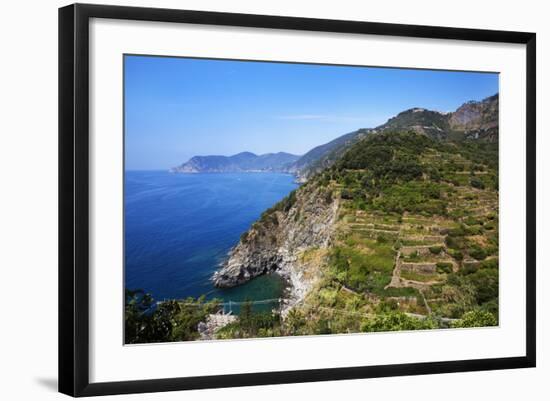 Terraced Vineyards at Corniglia-Mark Sunderland-Framed Photographic Print