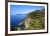 Terraced Vineyards at Corniglia-Mark Sunderland-Framed Photographic Print