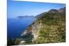 Terraced Vineyards at Corniglia-Mark Sunderland-Mounted Photographic Print