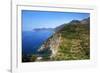 Terraced Vineyards at Corniglia-Mark Sunderland-Framed Photographic Print