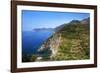 Terraced Vineyards at Corniglia-Mark Sunderland-Framed Photographic Print