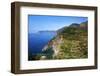 Terraced Vineyards at Corniglia-Mark Sunderland-Framed Premium Photographic Print