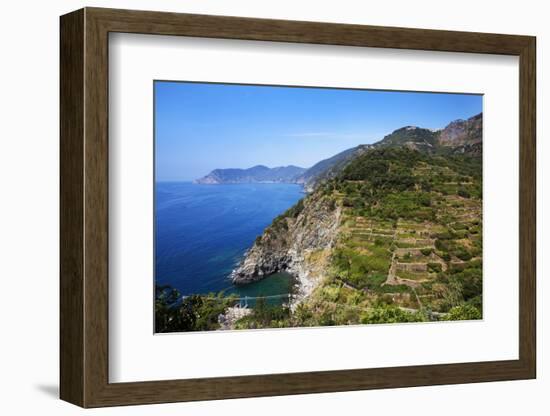 Terraced Vineyards at Corniglia-Mark Sunderland-Framed Photographic Print