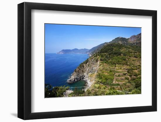 Terraced Vineyards at Corniglia-Mark Sunderland-Framed Photographic Print