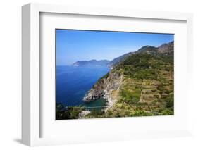 Terraced Vineyards at Corniglia-Mark Sunderland-Framed Photographic Print