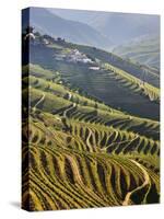 Terraced Vineyards in the Douro Region, a UNESCO World Heritage Site. Portugal-Mauricio Abreu-Stretched Canvas