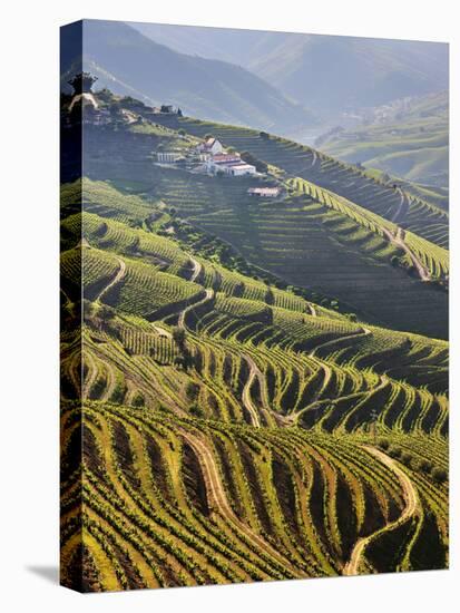 Terraced Vineyards in the Douro Region, a UNESCO World Heritage Site. Portugal-Mauricio Abreu-Stretched Canvas