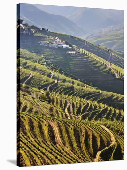 Terraced Vineyards in the Douro Region, a UNESCO World Heritage Site. Portugal-Mauricio Abreu-Stretched Canvas