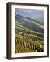 Terraced Vineyards in the Douro Region, a UNESCO World Heritage Site. Portugal-Mauricio Abreu-Framed Photographic Print