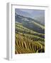 Terraced Vineyards in the Douro Region, a UNESCO World Heritage Site. Portugal-Mauricio Abreu-Framed Photographic Print