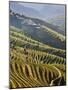 Terraced Vineyards in the Douro Region, a UNESCO World Heritage Site. Portugal-Mauricio Abreu-Mounted Photographic Print